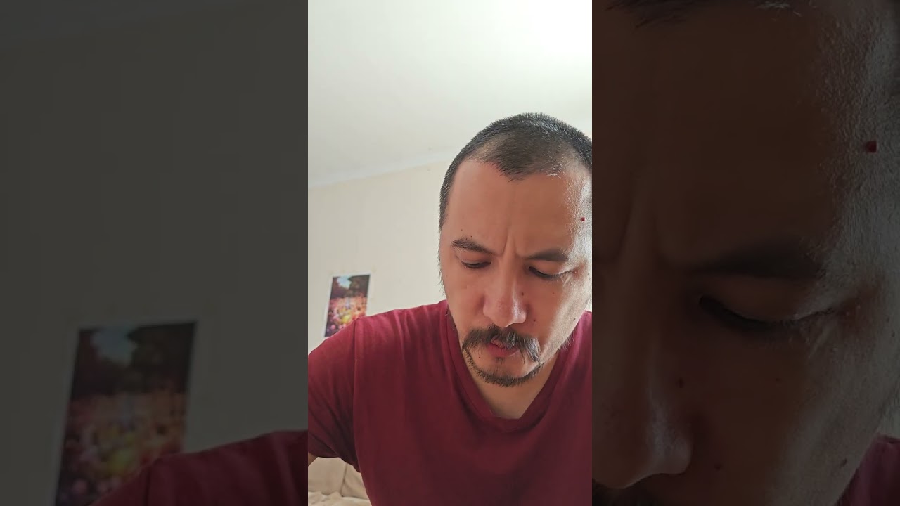 История в лицах. Платон и Аристотель.