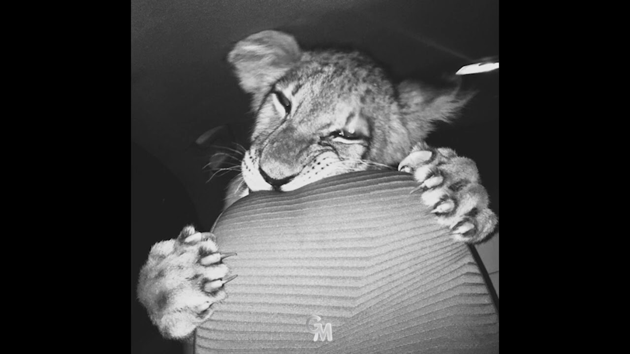 [FREE] MACAN & Ramil' type beat - "До утра"