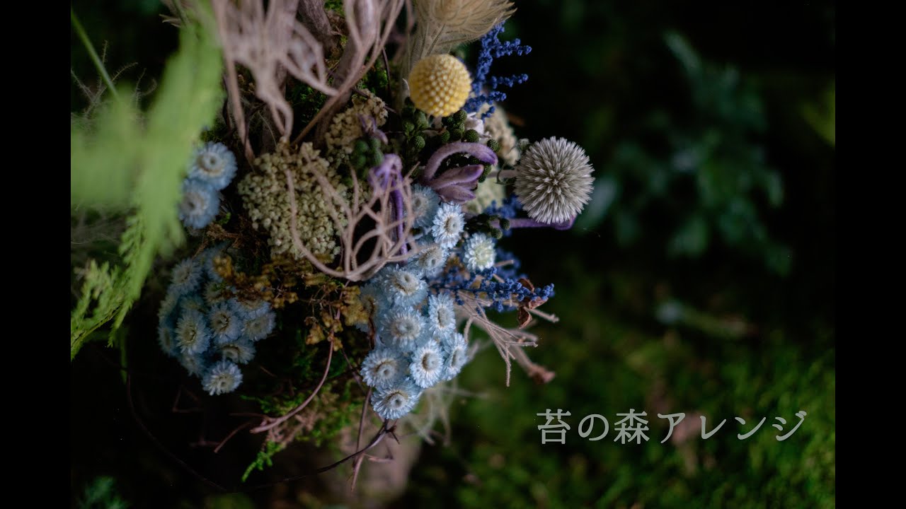 オンラインレッスン 苔の森アレンジ（ドライフラワー） - YouTube