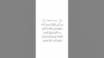 سورة المائدة ١٤