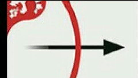 Thử game arrow.io (io #1)