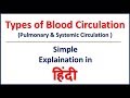 Types of Blood Circulation | Pulmonary and Systemic Circulation in Hindi | Bhushan Science