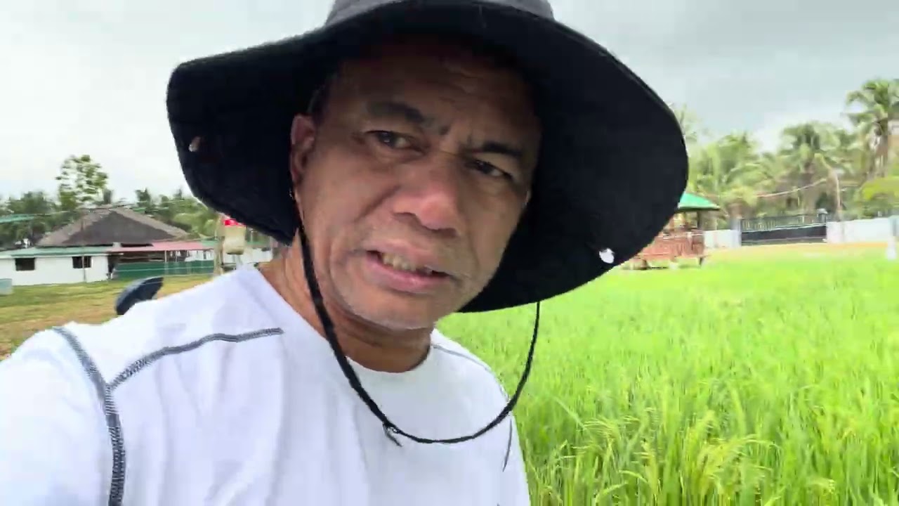 Gyera paano nakaka apekto sa atin? At ano ang magagawa ng sustainable farming method?