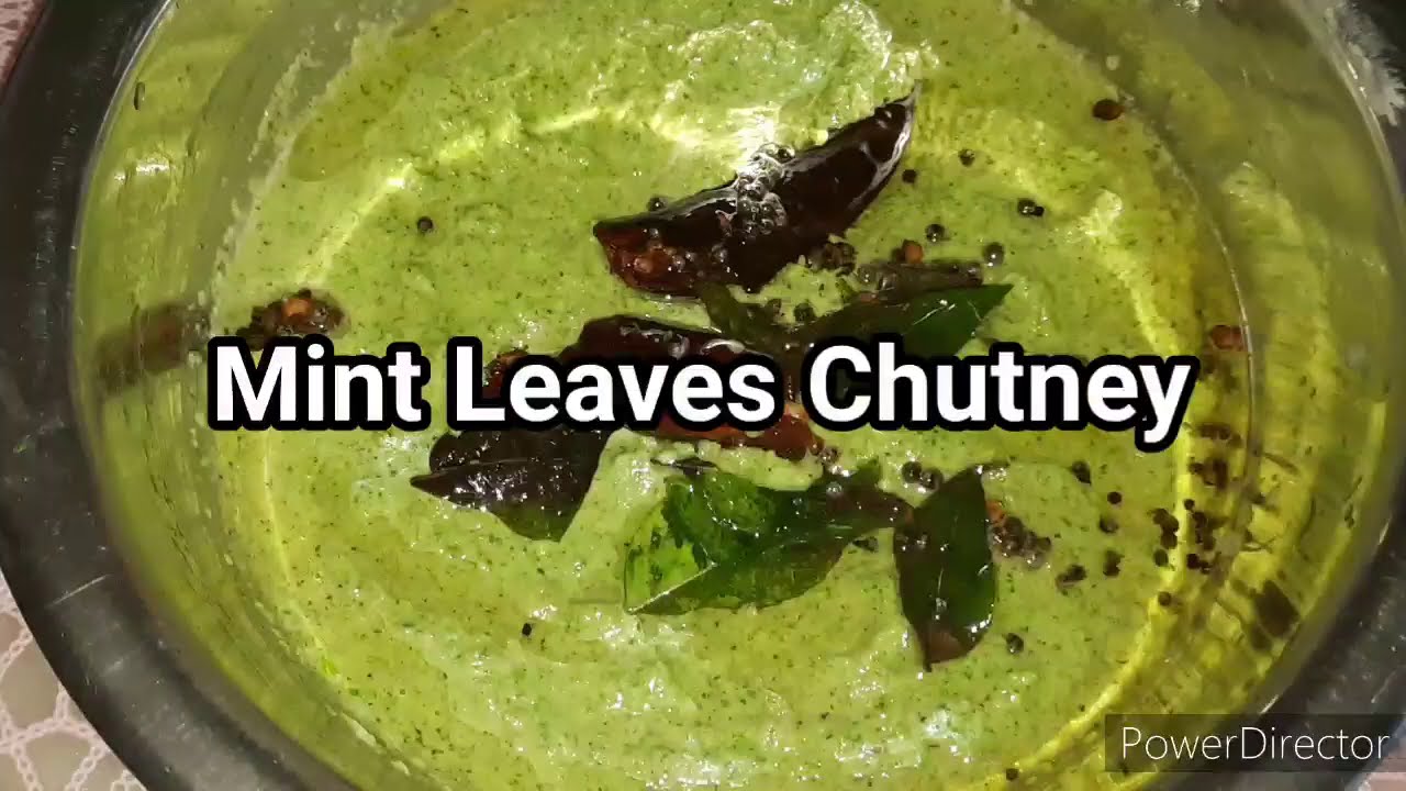 Mint Leaves Chutney For Idli & Dosa Recipe With English Subtitles