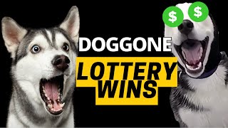 DOGGONE good lottery wins! Lottery News Weekly Roundup June 2023