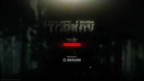 Playing with Randoms on Tarkov in a nutshell..