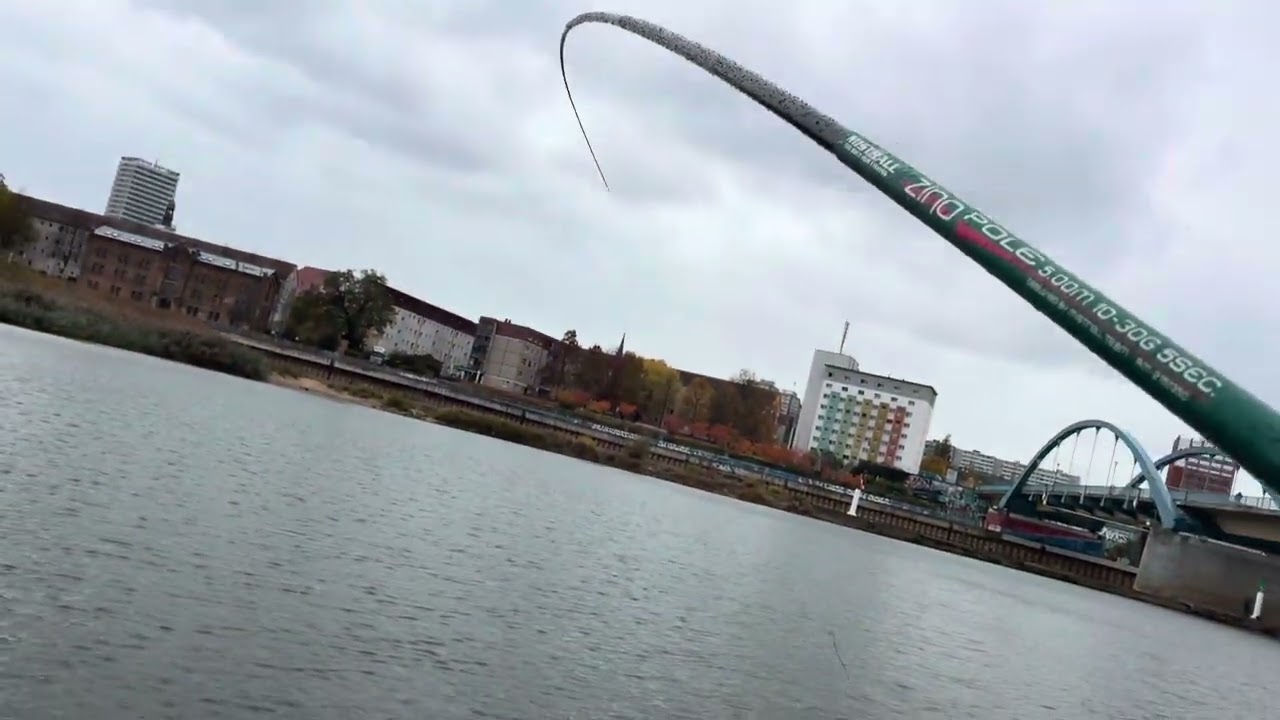 Riesiger Döbel am Stadtkanal! 😱🐟 Angeln mit der Stipprute und Gänsefeder-Schwimmer am Mittag! #EGÜDA