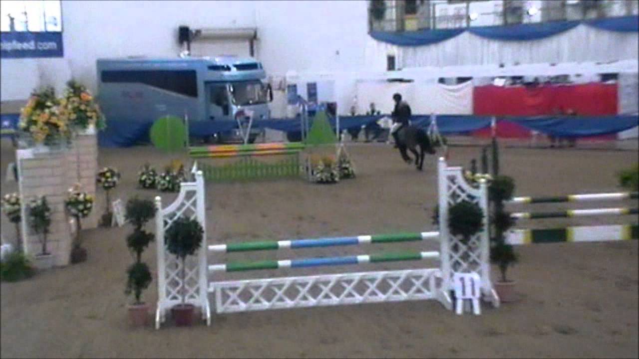 Bluechip main arena 2013