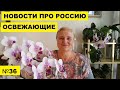 ОСВЕЖАЮЩИЕ НОВОСТИ ПРО РОССИЮ..ВЫПУСК №36..ИНВАЛИДНОСТЬ В РОССИИ ПО ИНТЕРНЕТУ