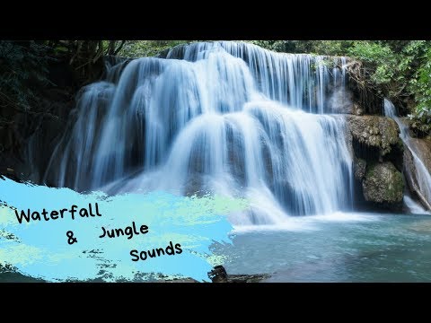 Waterfall & Jungle Sounds, Relaxing, Meditation Background Waterfall & Jungle Sounds, Relaxing, Meditation Background