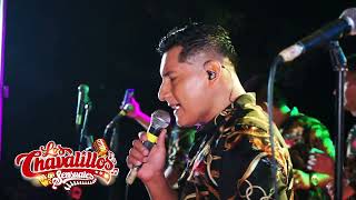 Chavalillos Sensuales - Final Sin Explicación - Video Oficial 2024- En Vivo San José De Sisa.