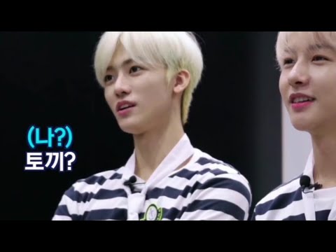 또 자기가 토끼인거는 잘 아네😏