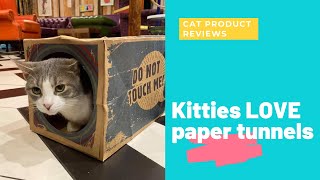 Kitties LOVE a good paper tunnel! | Cat Product Reviews Kitty Cafe UK - Cat Rescue and Cat Cafe