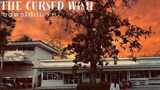 The cursed wish ‘ขอพรใต้ต้นจาน’ | ส่งงานครูจตุรงค์ คนึงนึก