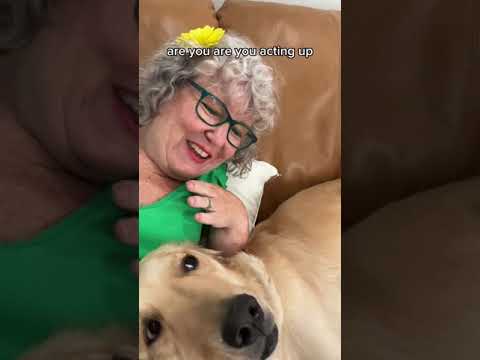 Dwarf vs Golden Retriever -the dog has longer arms Who is allergic to whom?