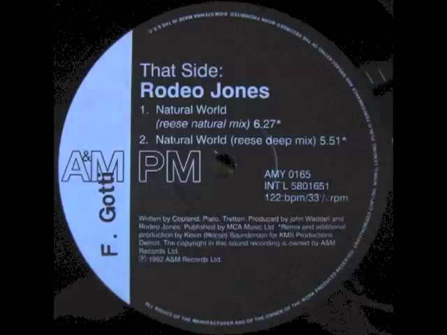 Rodeo Jones - Natural World (reese deep mix)