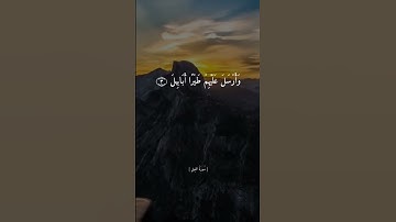 سورة الفيل || القارئ أحمد العجمي || تلاوة جميلة جدآ || حالات واتس اب || ستوريات |🥺❤️|