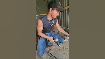 How to make a file handle