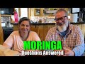 MORINGA Questions Answered - Anti-inflammatory and MORE | Big Family Homestead LIVE