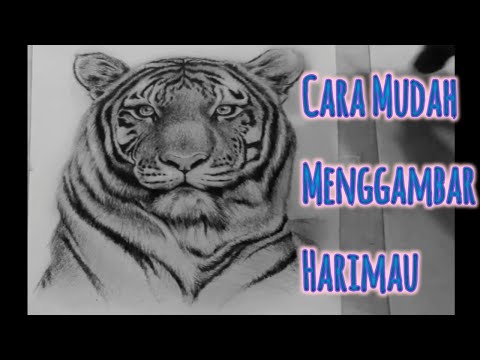 Video: Cara Menggambar Harimau Dengan Pensil