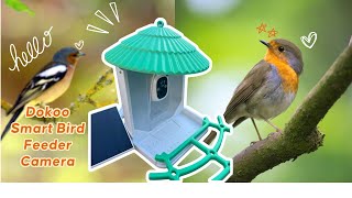 🔥REVIEW🔥 Dokoo Smart Bird Feeder Camera- 185° View 2K Wild Bird Feeder with Camera by Battle Team 133 views 2 months ago 6 minutes, 22 seconds