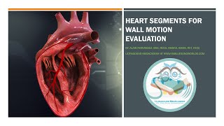 Heart Segments for Wall Motion Abnormalities Evaluation