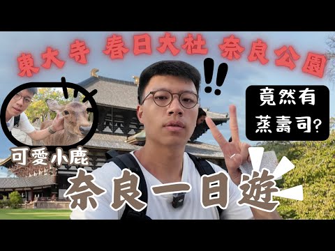 奈良一日遊????超宏偉極震撼東大寺????春日大社無限神社????到奈良公園做小鹿首領！竟然發現蒸嘅壽司!？沿途發現極美公園