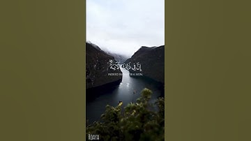 فأنجيناه ومن معه في الفلك المشحون 🌊📖 | تلاوة خاشعة بصوت وليد الشمسان