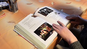 Browsing Book Pages | 4K Video | Copyright Free Video (CC0)