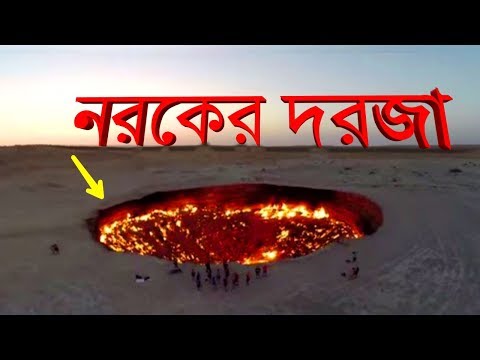 ভিডিও: আমরা একটি নৌবহর তৈরি করছি। 