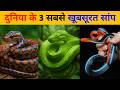 दुनिया के 3 सबसे खूबसूरत सांप | 3 Most Beautiful Snakes in the World | Nature Facts
