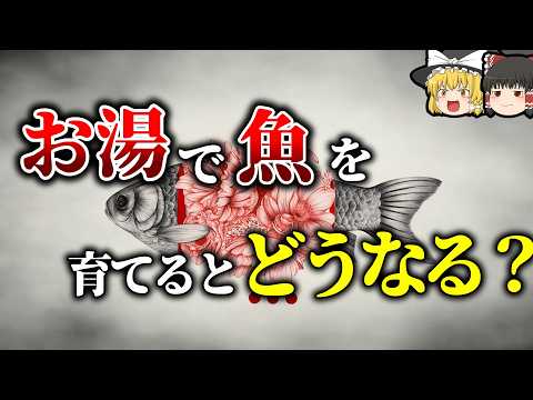 【素朴な疑問】水からでしか生命が生まれない理由【ゆっくり解説】【雑学】のサムネイル