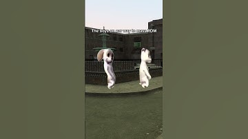 We do a little bit of RDM trolling #gmod #shorts #gaming #memes