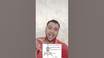 What is neuron?