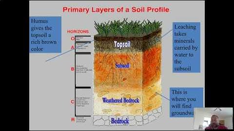 Soils Part 2
