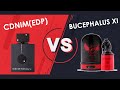 ARMAF BUCEPHALUS XI vs CLUB DE NUIT INTENSE MAN (EDP) - Honest Comparison