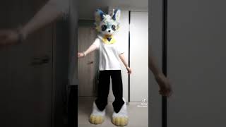 #furries #furry #fursuit #cute #antizoo #furrysupport #fursona #fursuiter #furryfriend #fursuiting