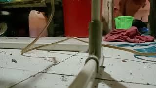 jajan psk ! LG hujan ms enak nya anu-anu