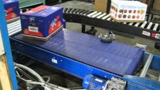 4 Carton Turner Twin Belt