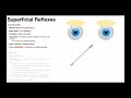 Corneal Reflex | Procedure &amp; Results Interpretation