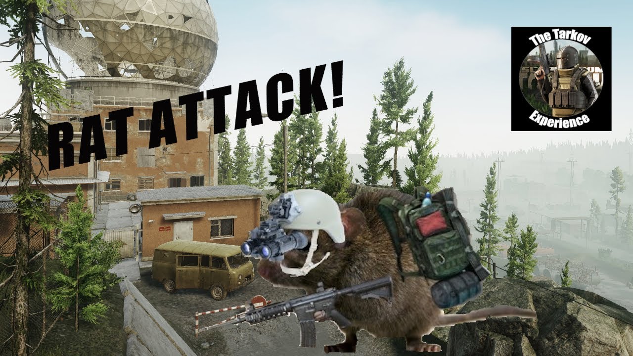 Tarkov Gameplay the Leader Brings Out My Inner Rat YouTube