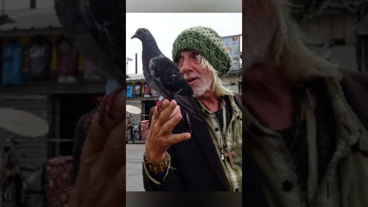 Stan Becker Reports Traci Park Valecia Adams Kellum BLM LA Becky Dennison Blacklisted Homeless MAGA