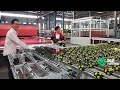 U shape glass processing and production line from cutting to tempering