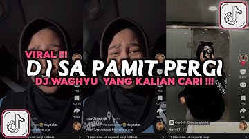 DJ SA PAMIT PERGI DJ WAGHYU MEYDARAHMA VIRAL TIKTOK 2024