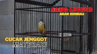 Download Lagu UPDATE KONDISI CUCAK JENGGOT LEGEND JAGOAN AK 47 MP3 Download Lagu UPDATE KONDISI CUCAK JENGGOT LEGEND JAGOAN AK 47 MP3