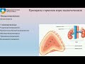 Препараты гормонов. Гормоны щитовидной железы. Гормоны коры надпочечников