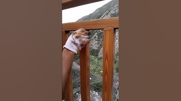 Steel structure imitation wood grain, good machinery and tools to save time and effort