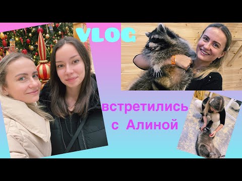 Видео: VLOG: ВСТРЕТИЛИСЬ С АЛИНКОЙ / СНОВА ВВЕЛИ КАРАНТИН