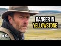 Warning  yellowstone national park is not safe