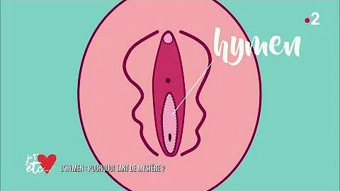 Quelle est l'utilité de l'hymen ?